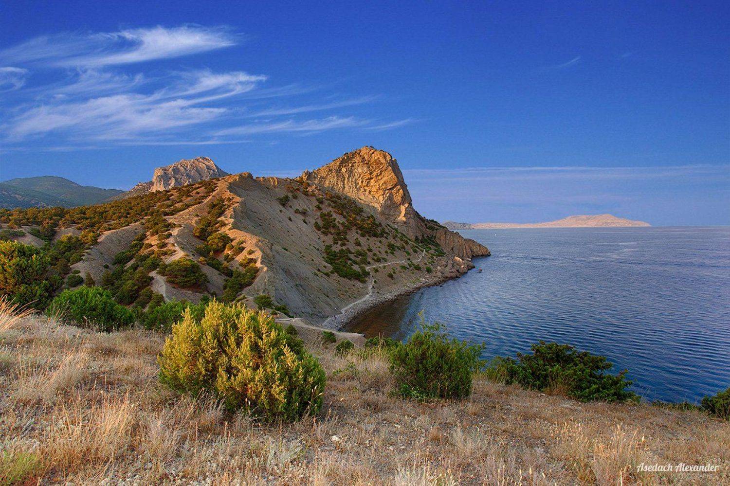 , Александр Аседач