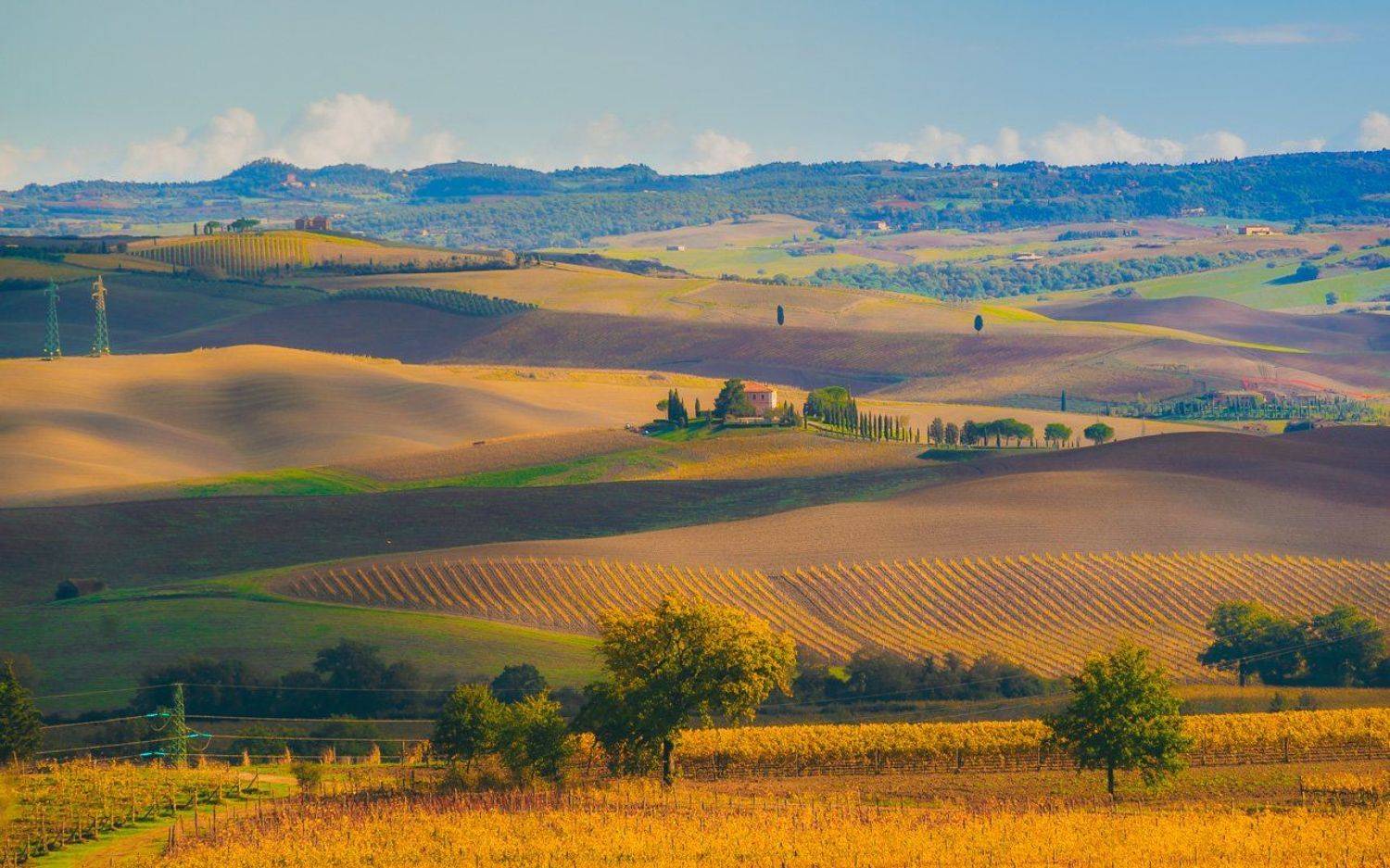 , Алексей Котлов