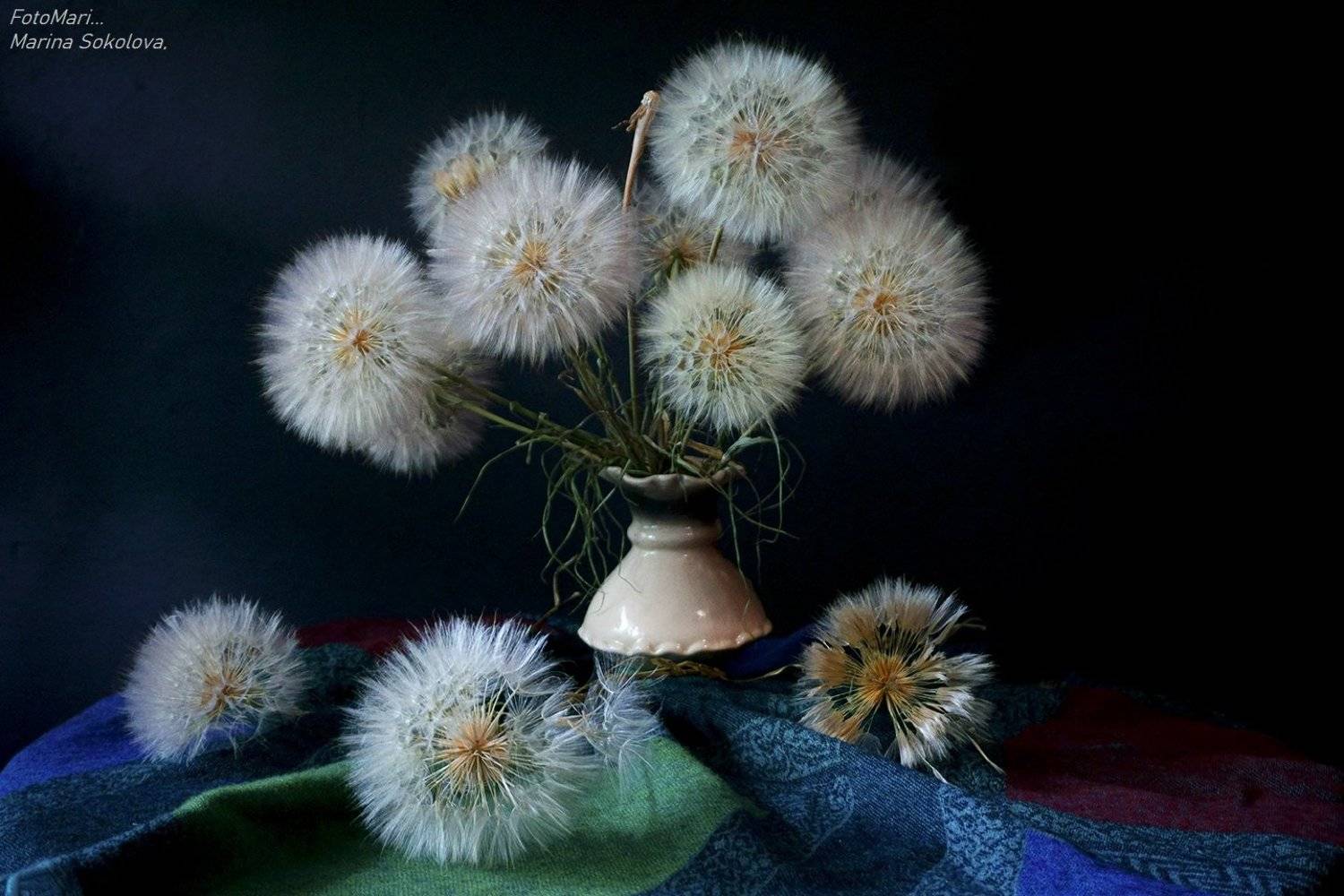 , Марина Соколова