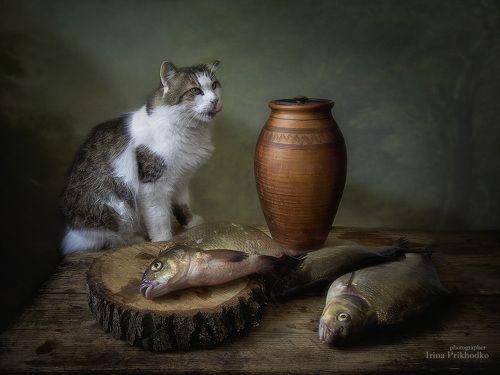 Удачный улов