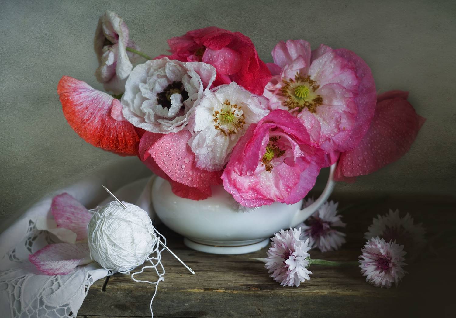 цветные маки, букет цветов, гвоздики. клубок. крупный план, гвоздики, Лионелла Зимина