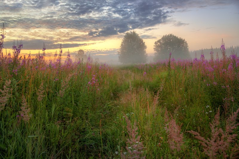 Лето - это маленькая жизнь фото превью