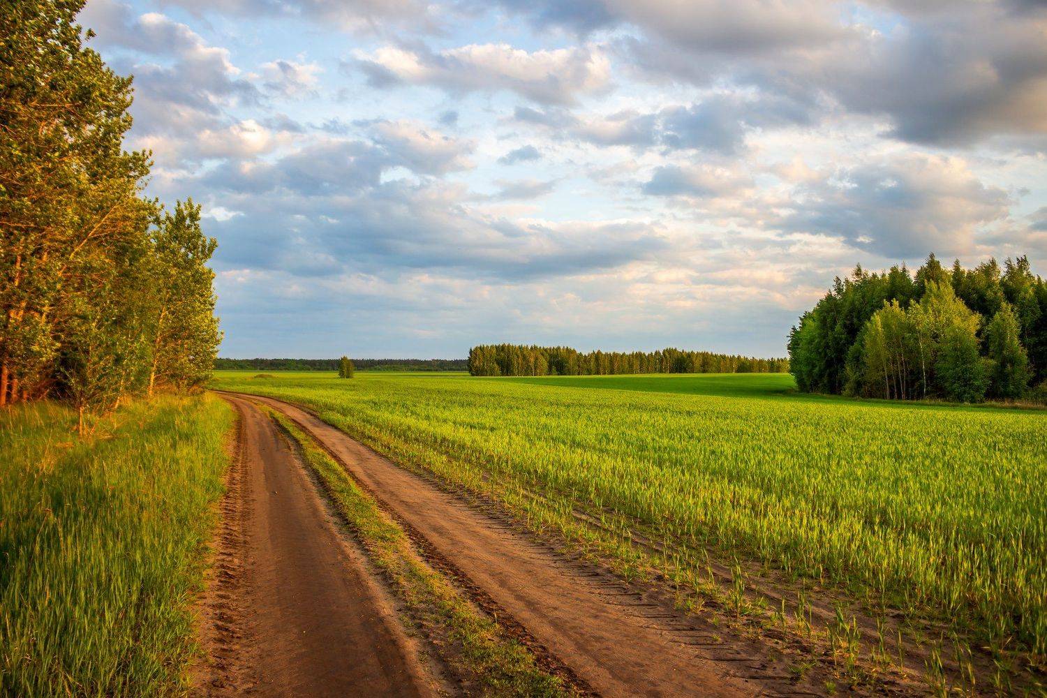 дорога, поле, лес, небо, вечер, дали, Руслан Востриков
