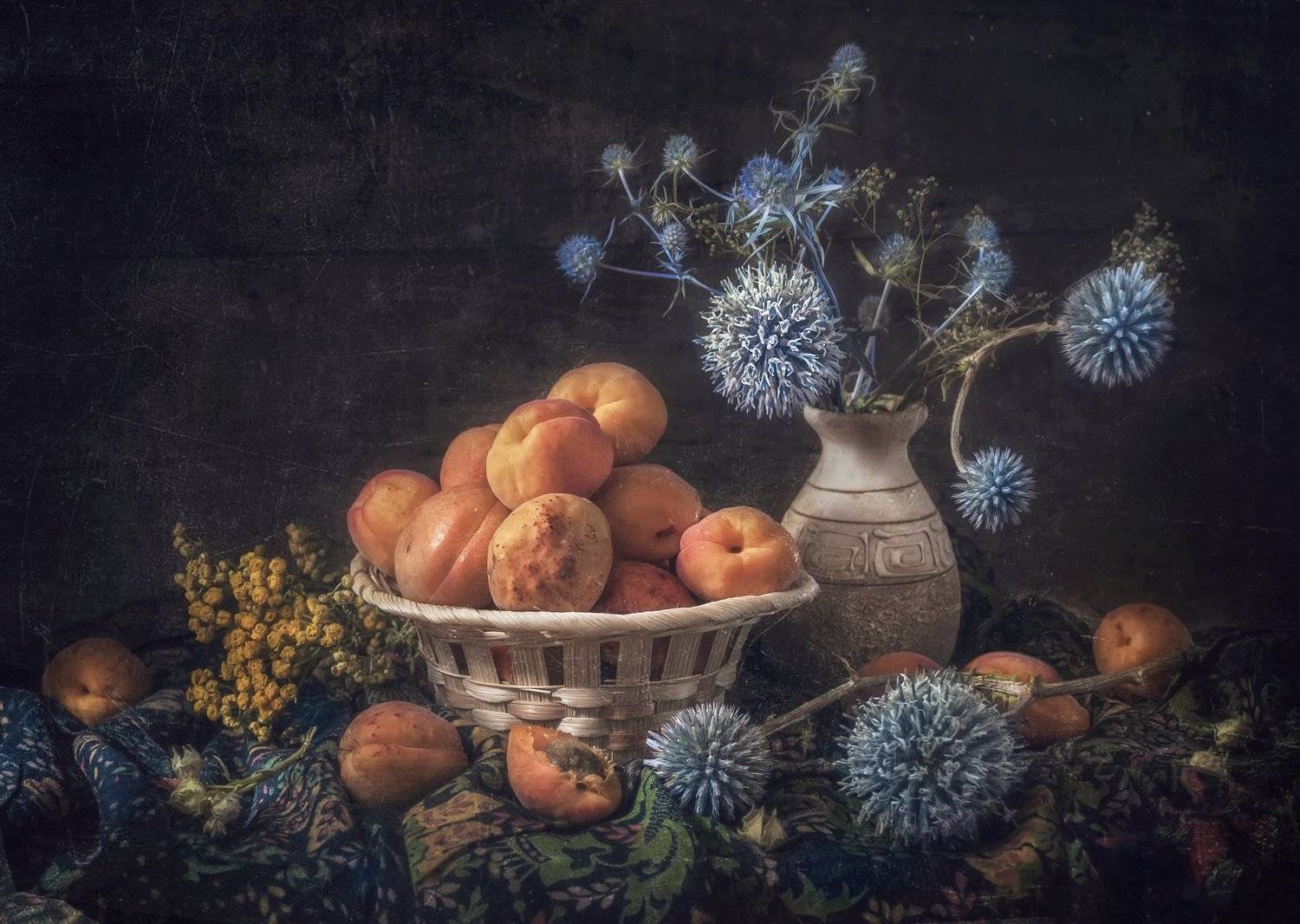 абрикосы,деревня,колючий,мордовник,тёмный,оранжевый, Владимир Володин