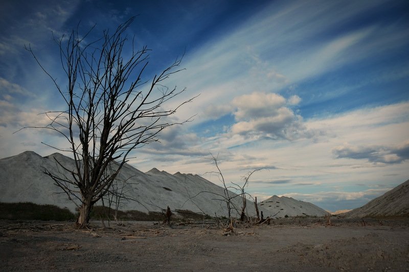беларусь, гомель, горы, экология Dead nature(II) фото превью