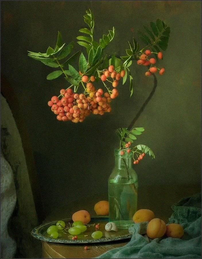 , Stein Georg