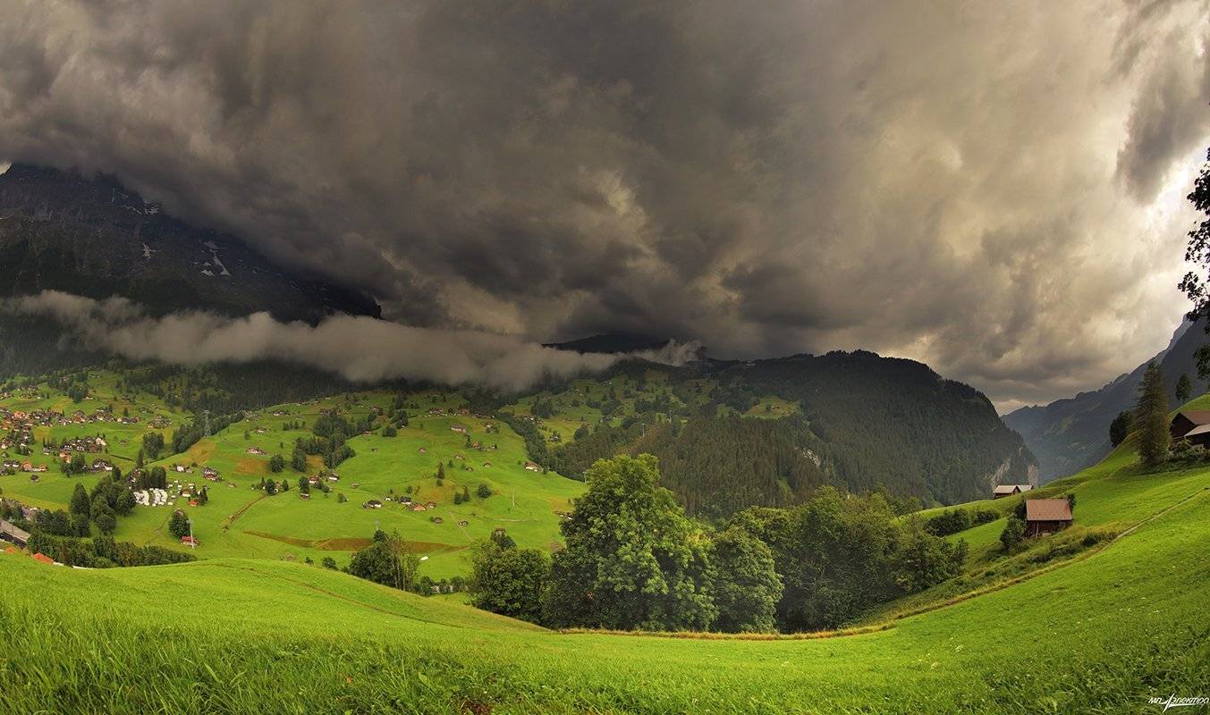 swiss, Матвеев Николай