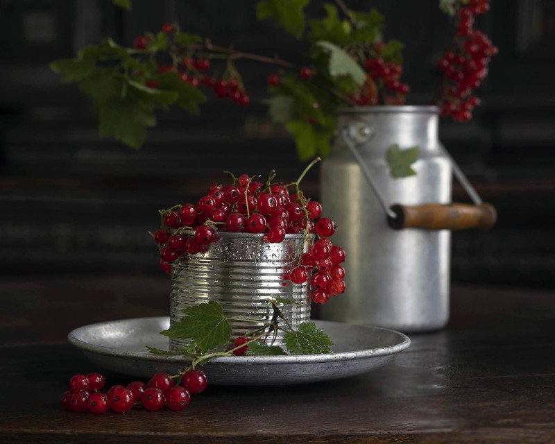 смородина, красный *** фото превью