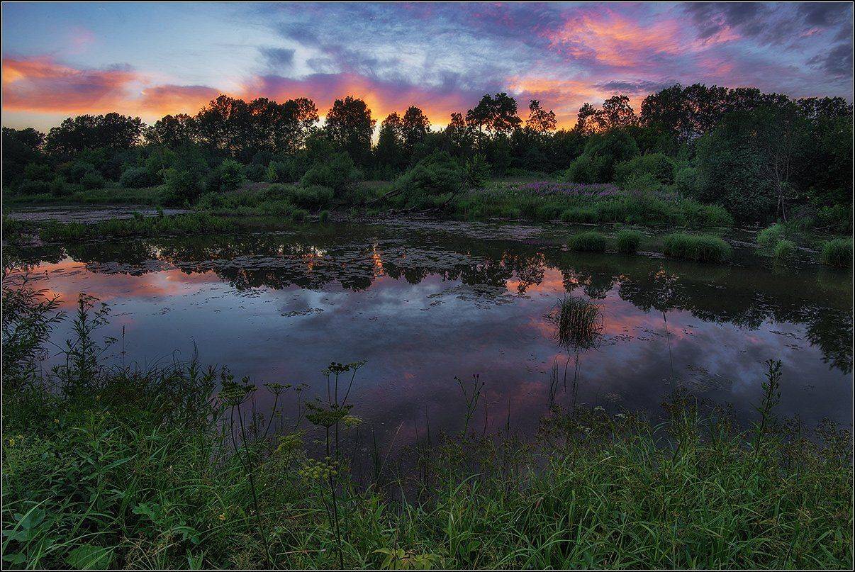 москва, пруд, вечер., АНАТОЛИЙ ДОВЫДЕНКО