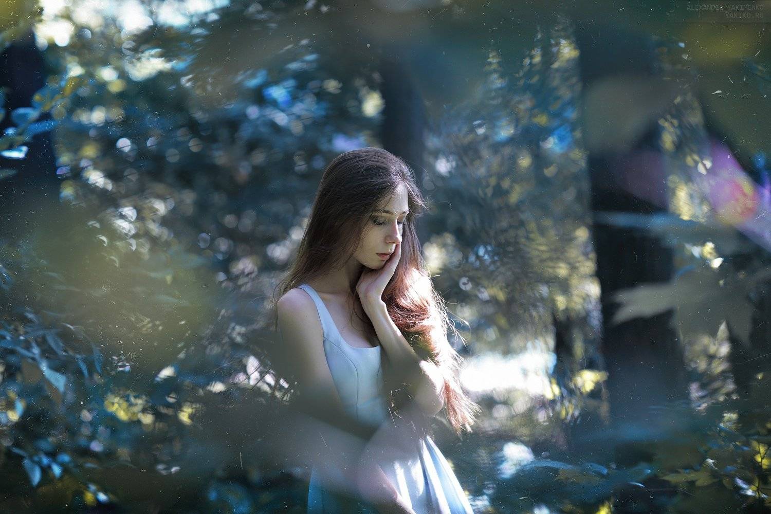 , Alexander Yakimenko