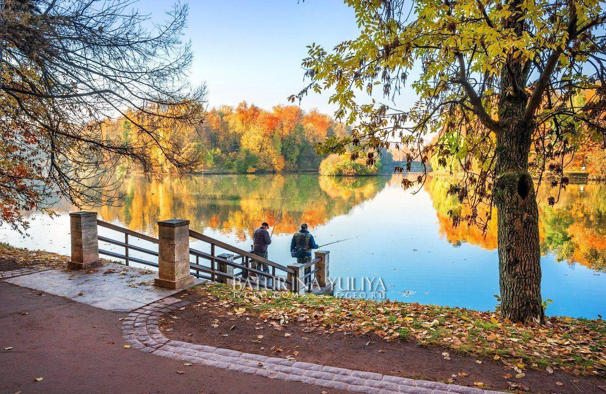 москва, царицыно, осень, Юлия Батурина