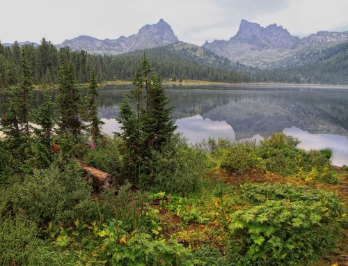 После дождя