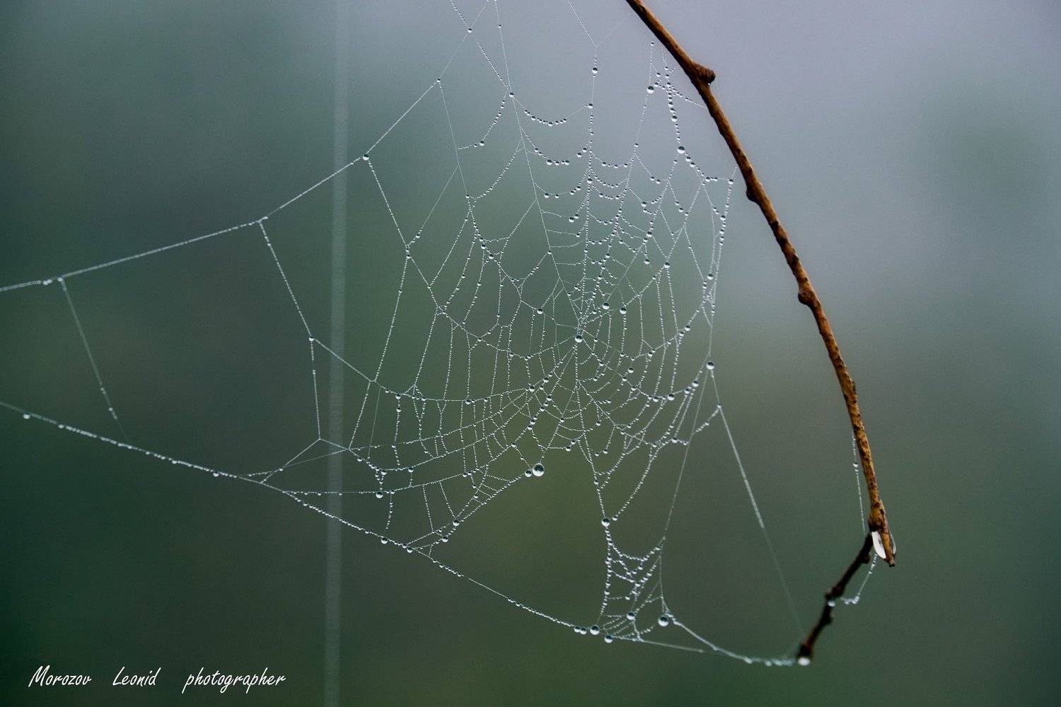 #nature, #туман, #лес, #oсень, #украина, #карпаты, #пейзаж, #закат, #туман, #солнце, #свет, #mountain range, #mountains, #туризм, #лес, #nature, #природа,, Леонид Морозов