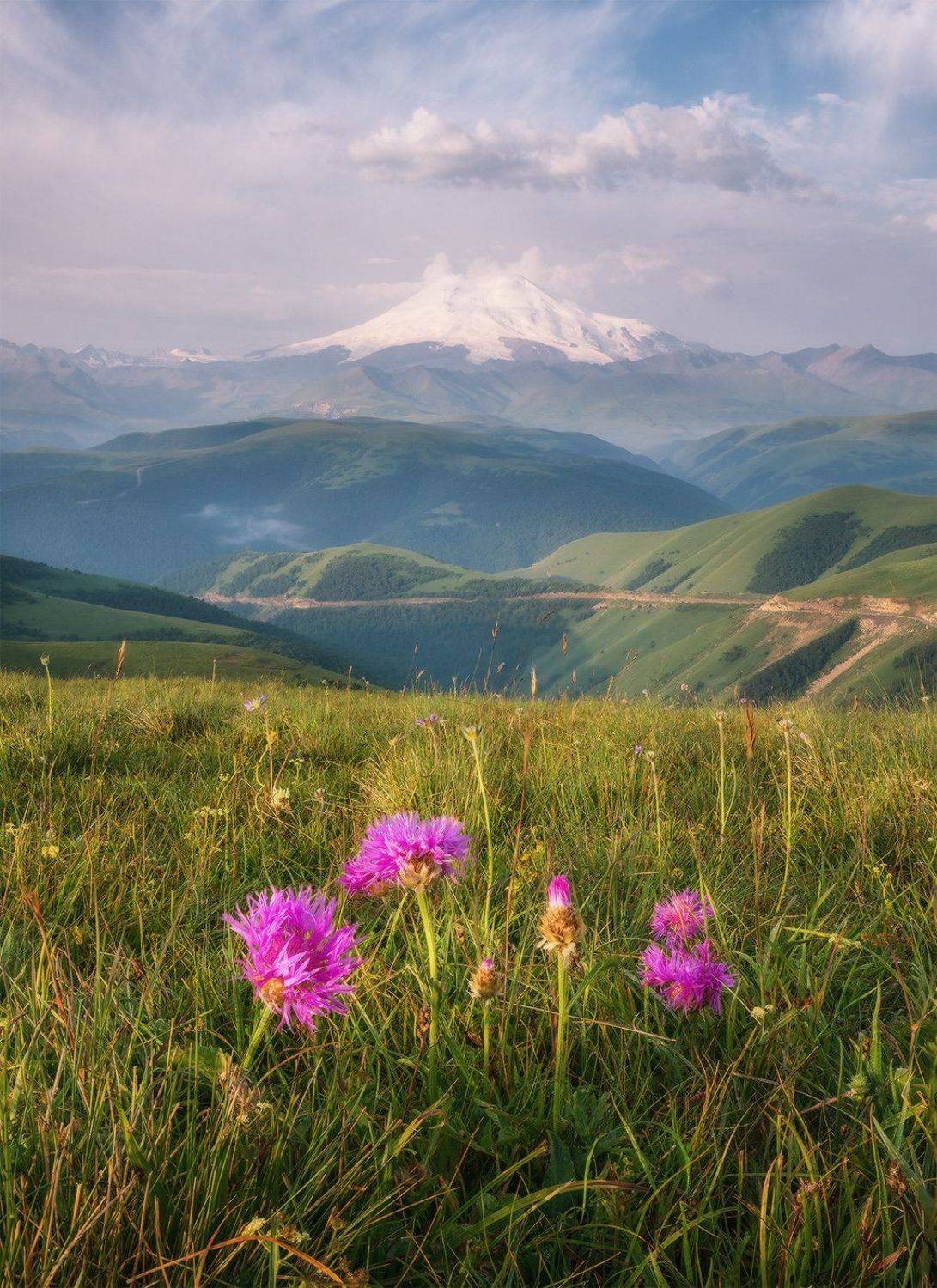 северный кавказ, приэльбрусье, эльбрус, джилы-су, утро, июль,, Николай Мысливцев