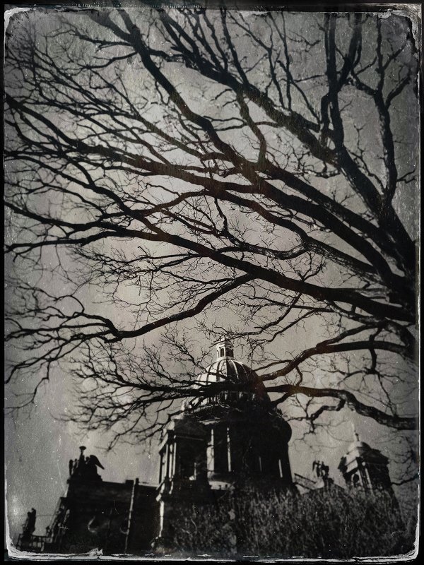 Saint-Petersburg фото превью