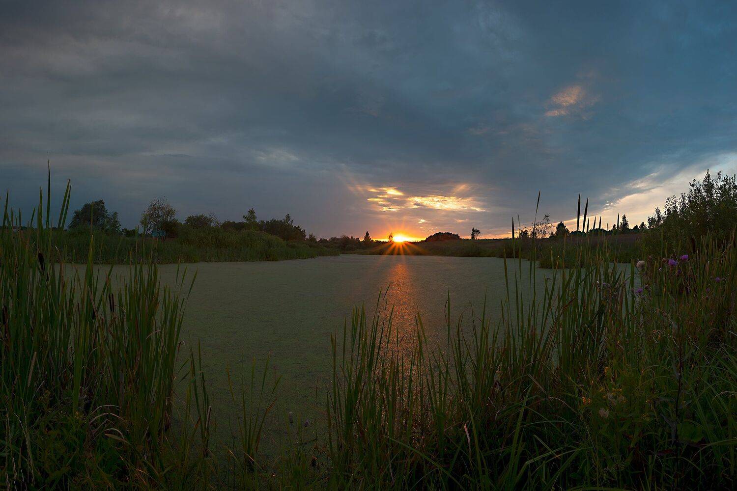 , Виталий Стрельцов