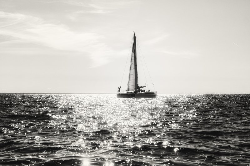 вода, катамаран, лето, чернобелое, девушка, прогулки, залив К горизонту... фото превью