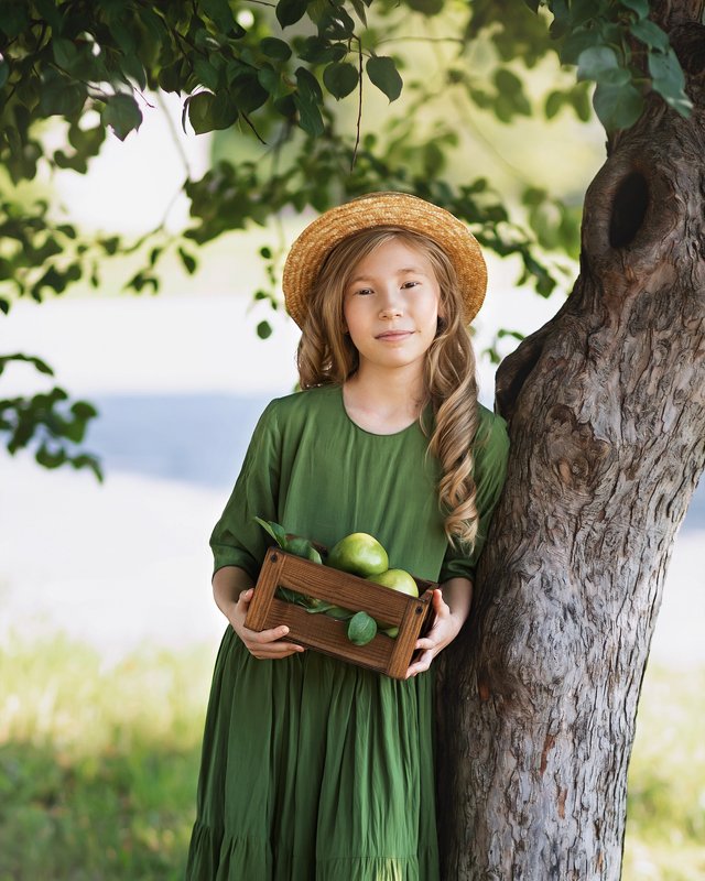 Яблочки фото превью