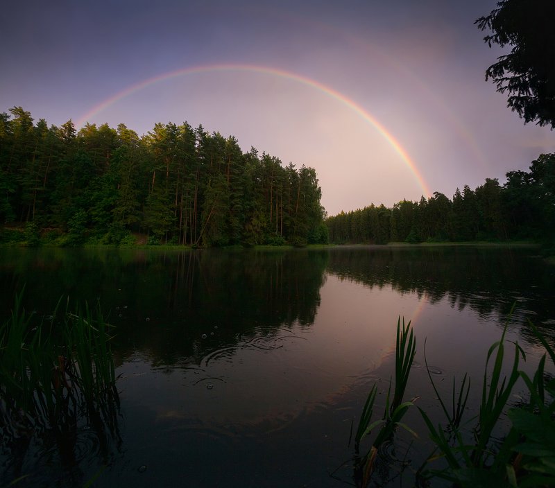 Сказка  фото превью