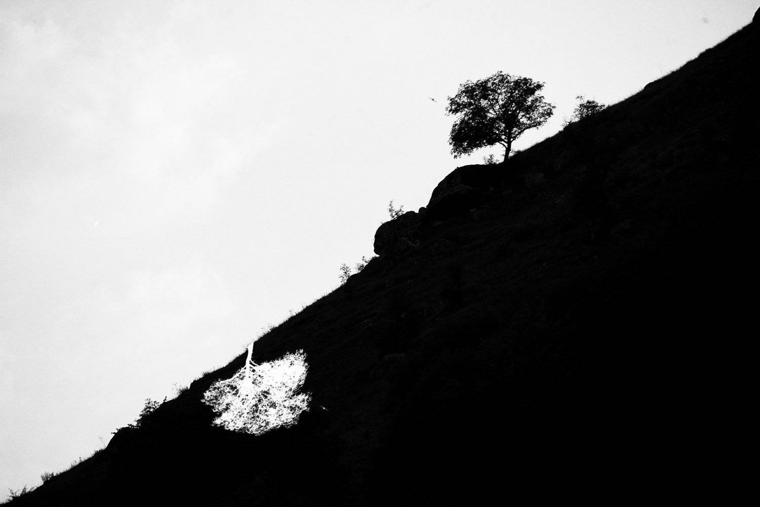 , Ахмат Байсиев