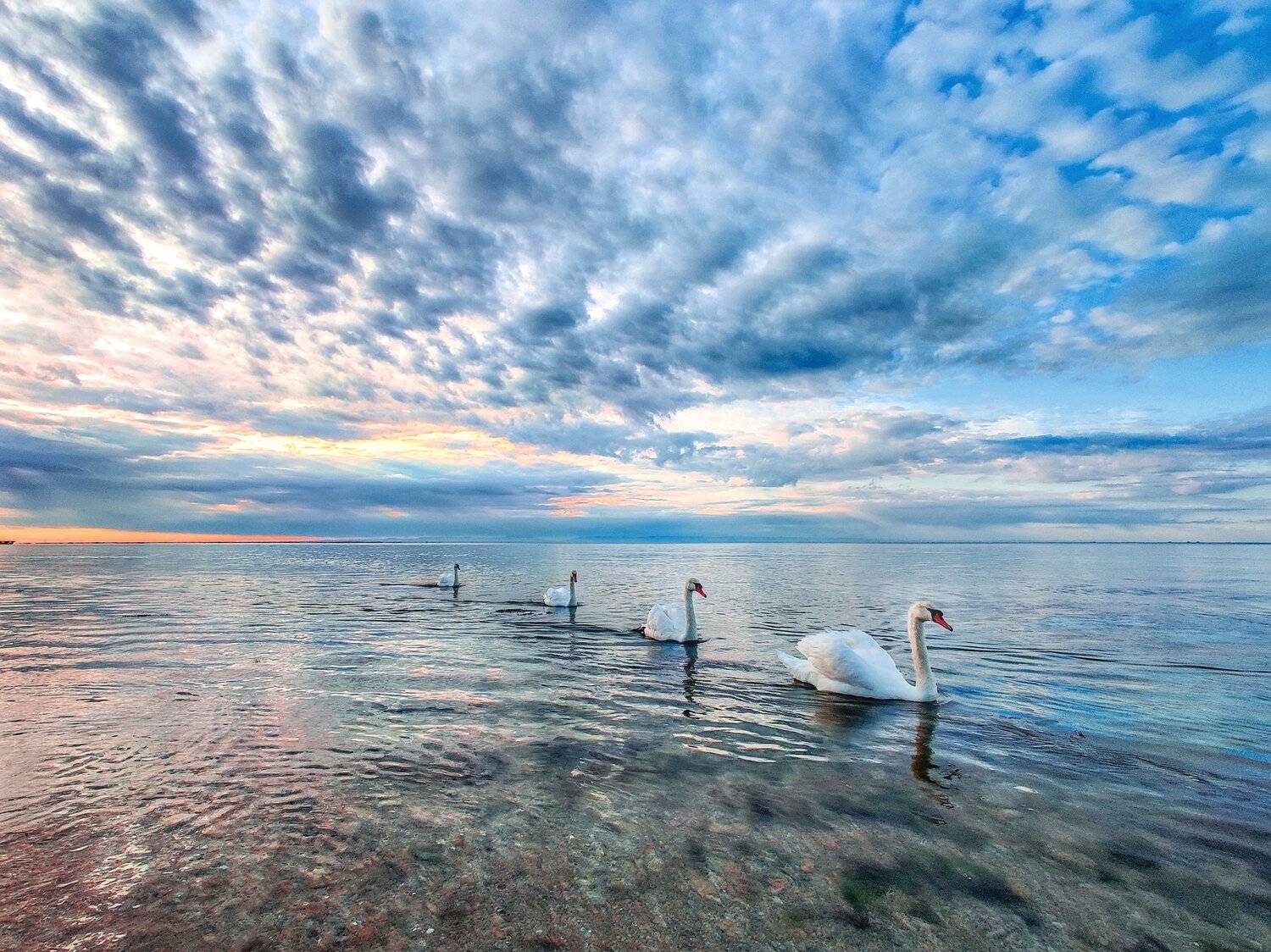 , Андрей Кривцов