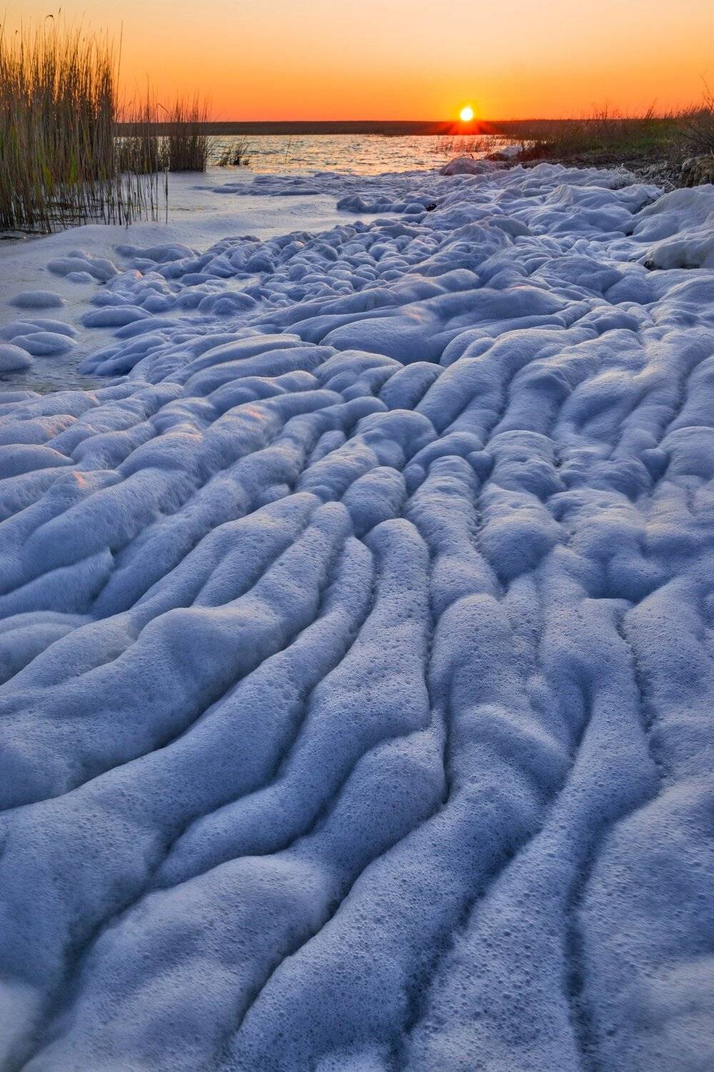 , Андрей Кривцов
