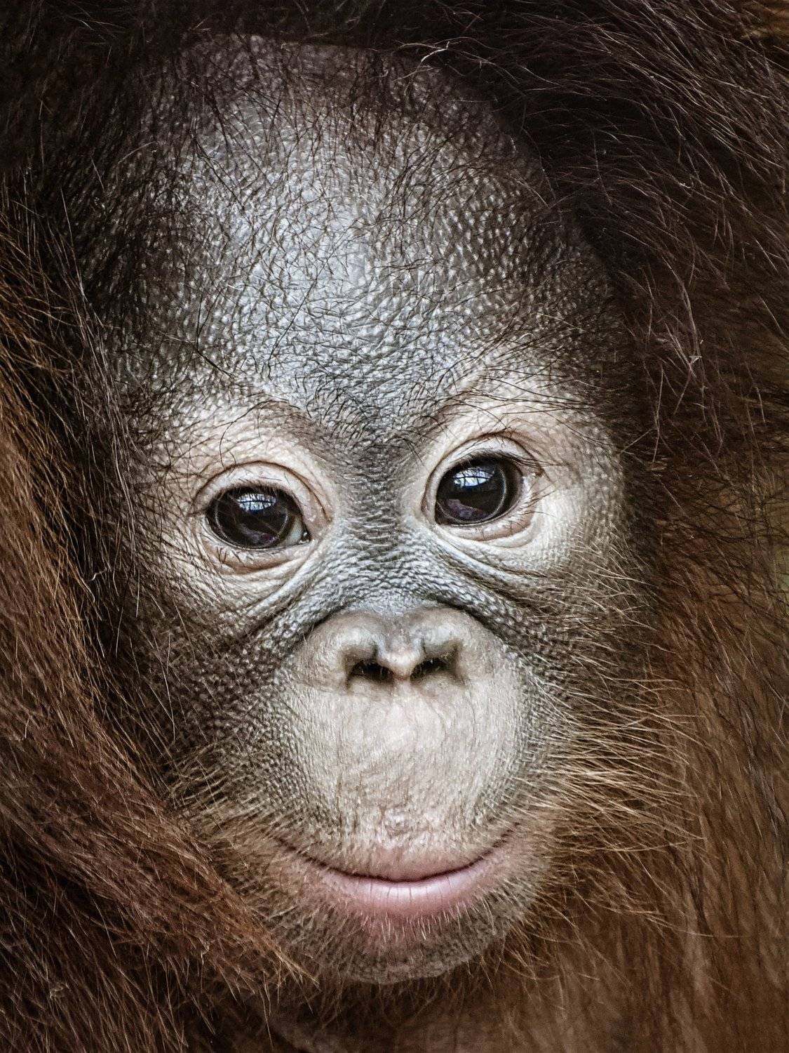 , Андрей Поляков