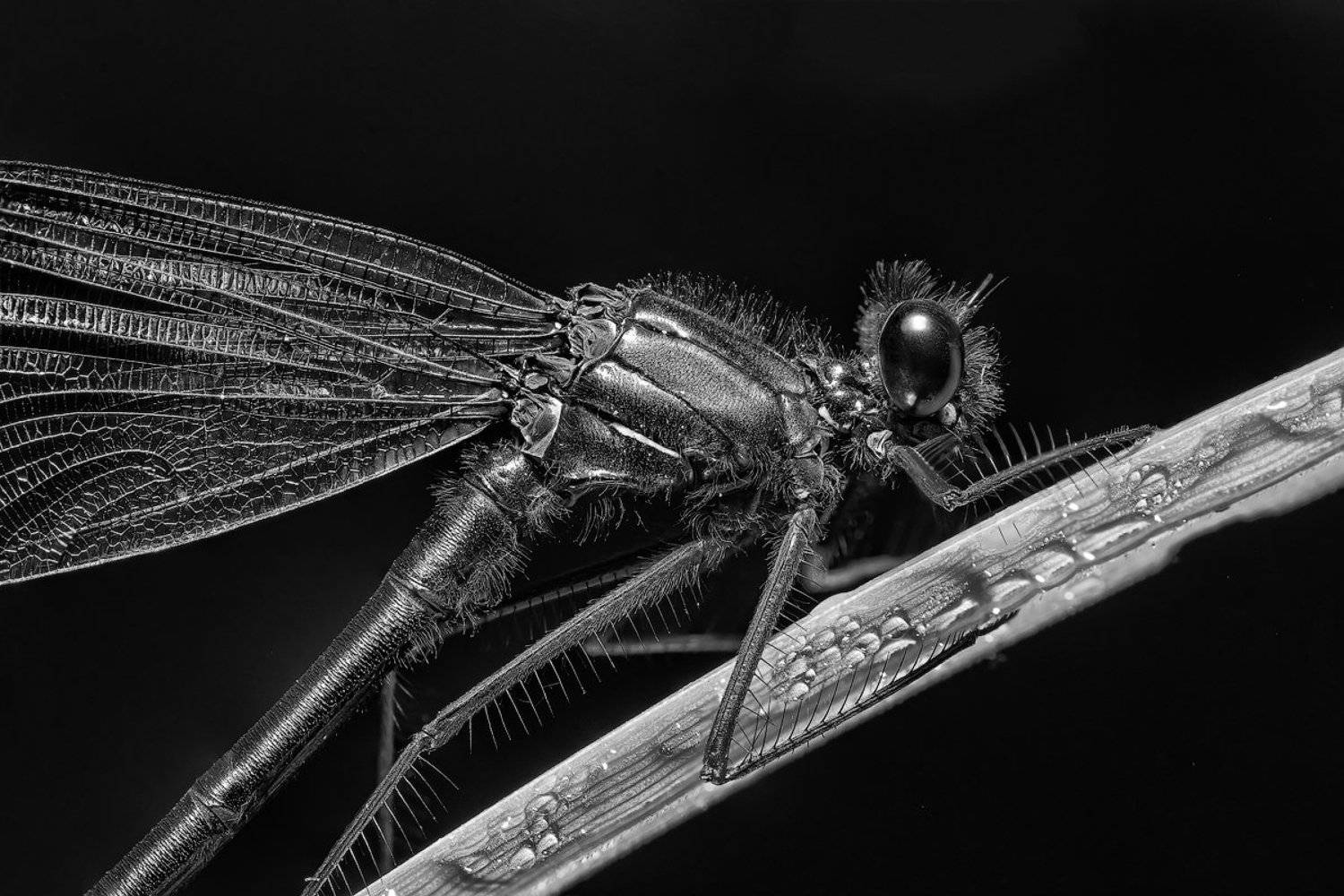 , Игорь Зубков