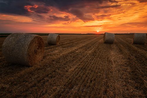 Sunset in the countryside