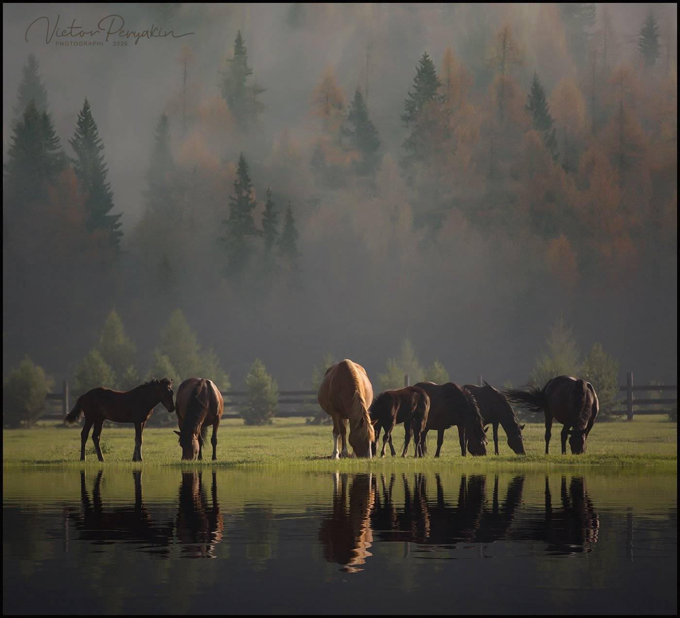, Виктор Перякин