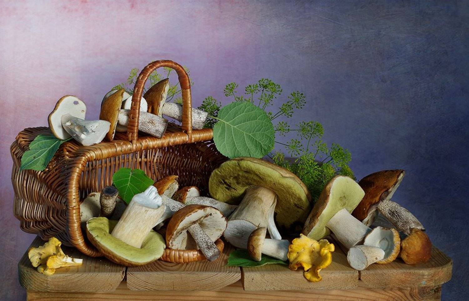 натюрморт,грибы,лето,вера павлухина,, Вера  Павлухина