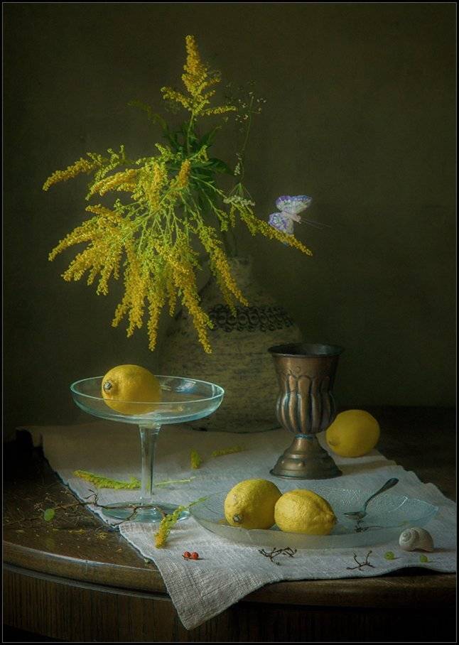 , Stein Georg