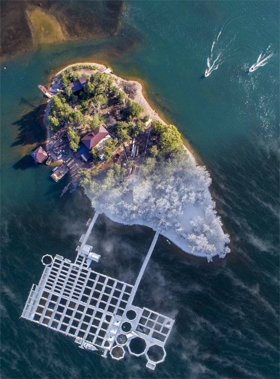 , Игорь Железняк