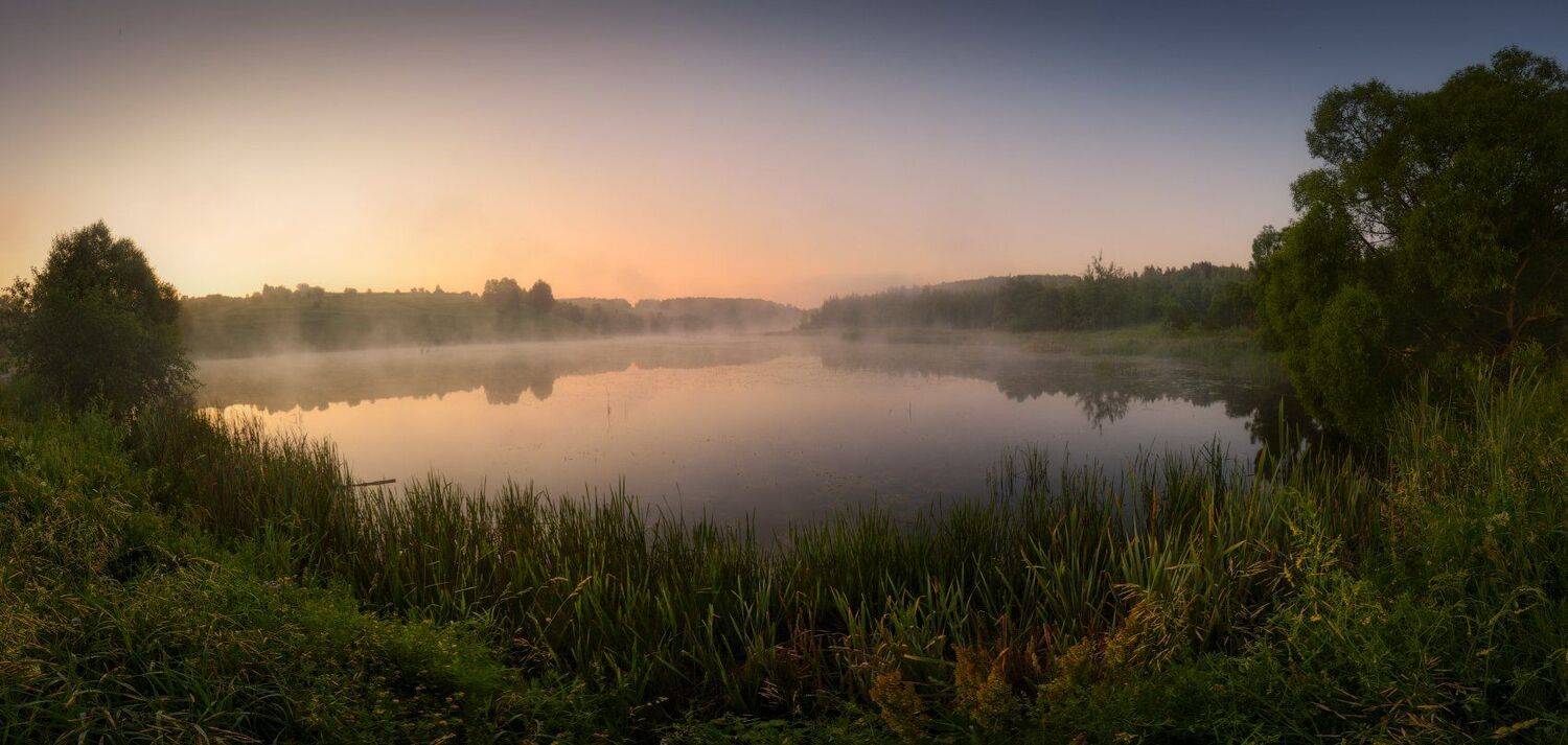 тула, саженка, одоев, Сергей Кочергин
