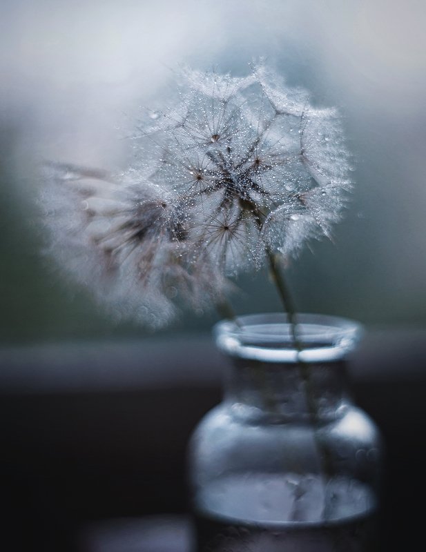 Капельки фото превью