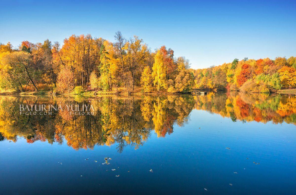 москва, осень, царицыно, Юлия Батурина