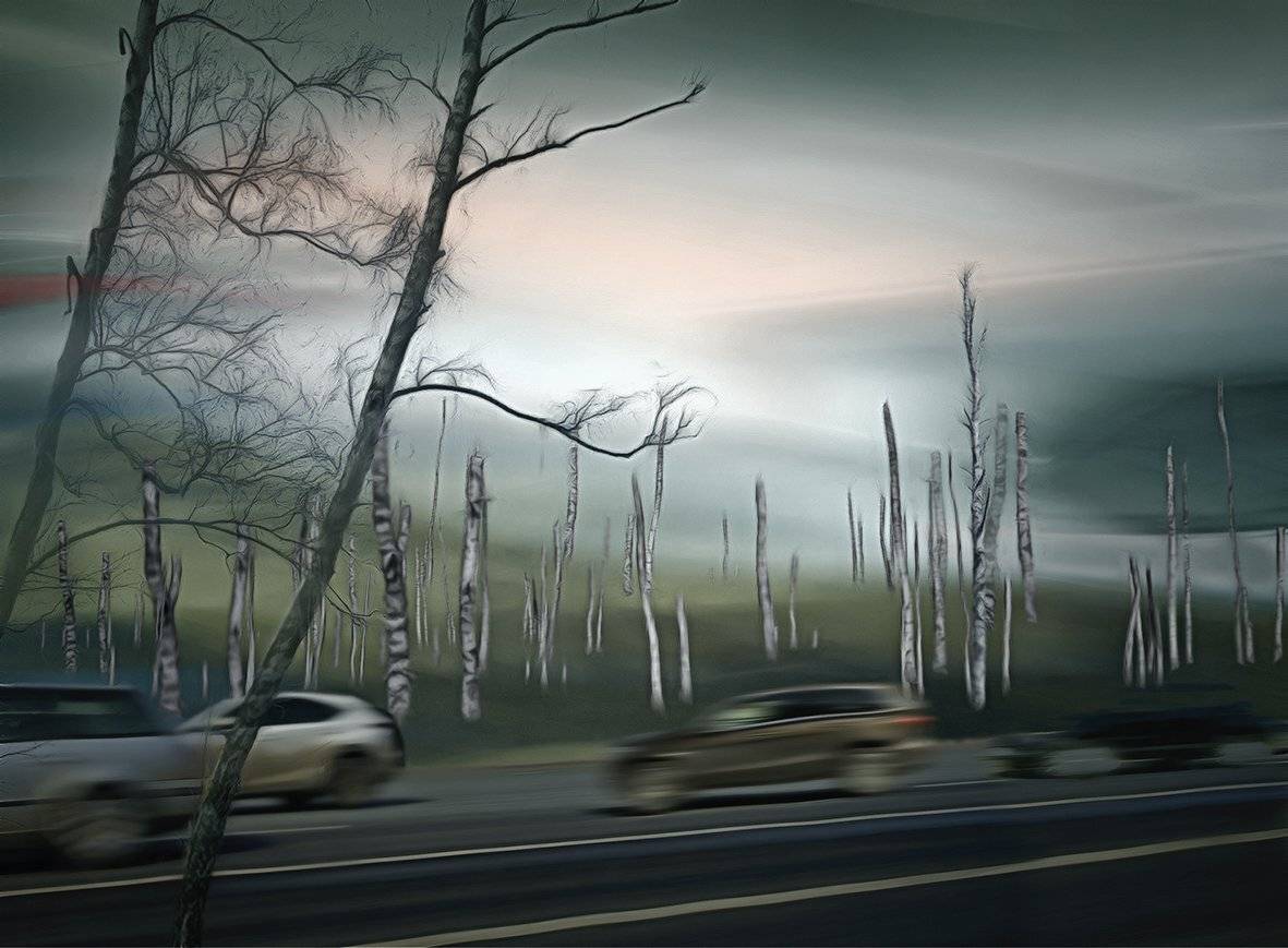 , T. Bondarenko