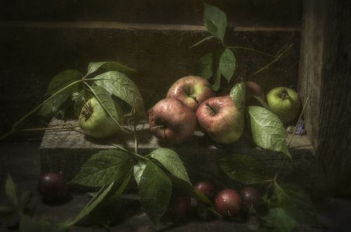 Яблочное начало...