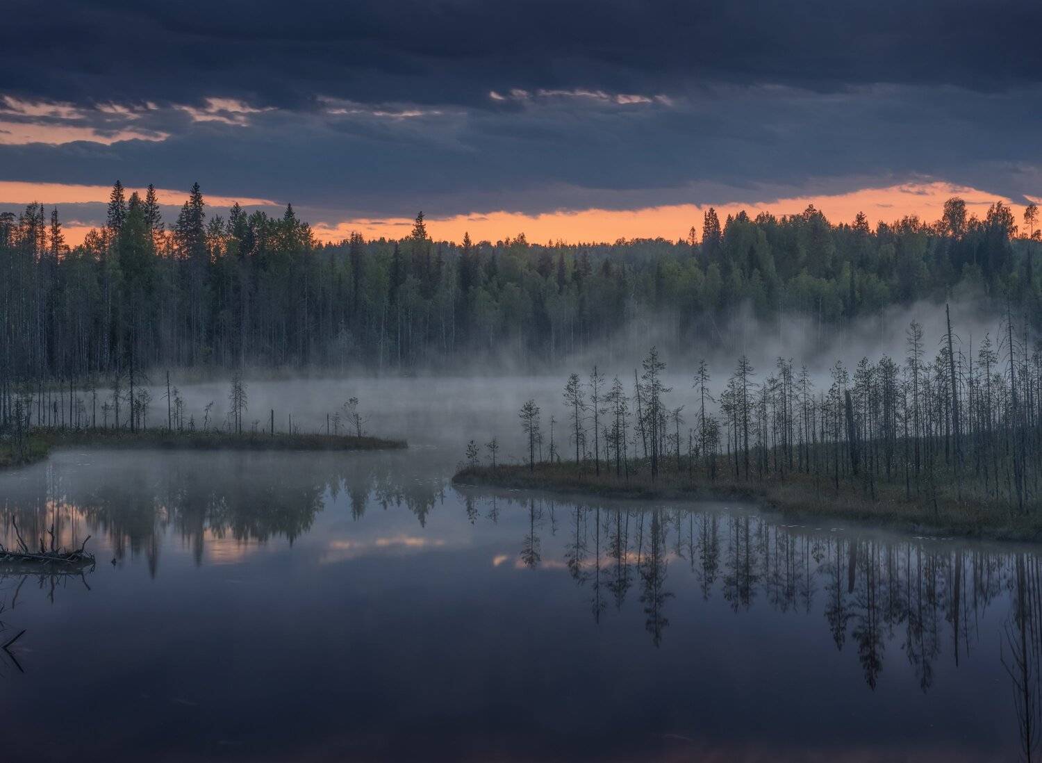 , Елена Ермолина