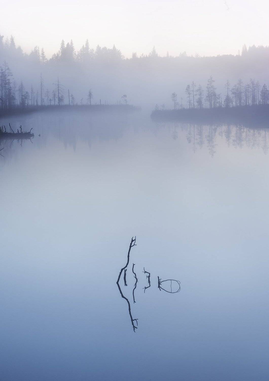 , Елена Ермолина