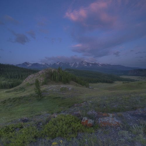Перед Рассветом. Алтай. Курайская степь. 