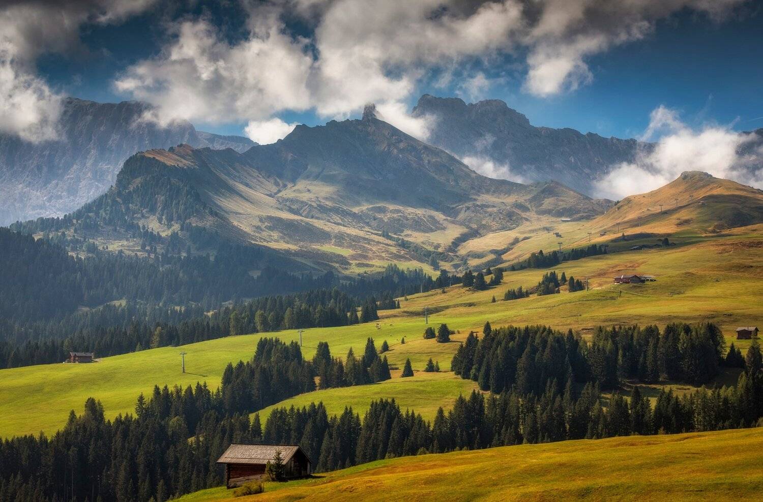горы, поля, лес, Александр Безмолитвенный