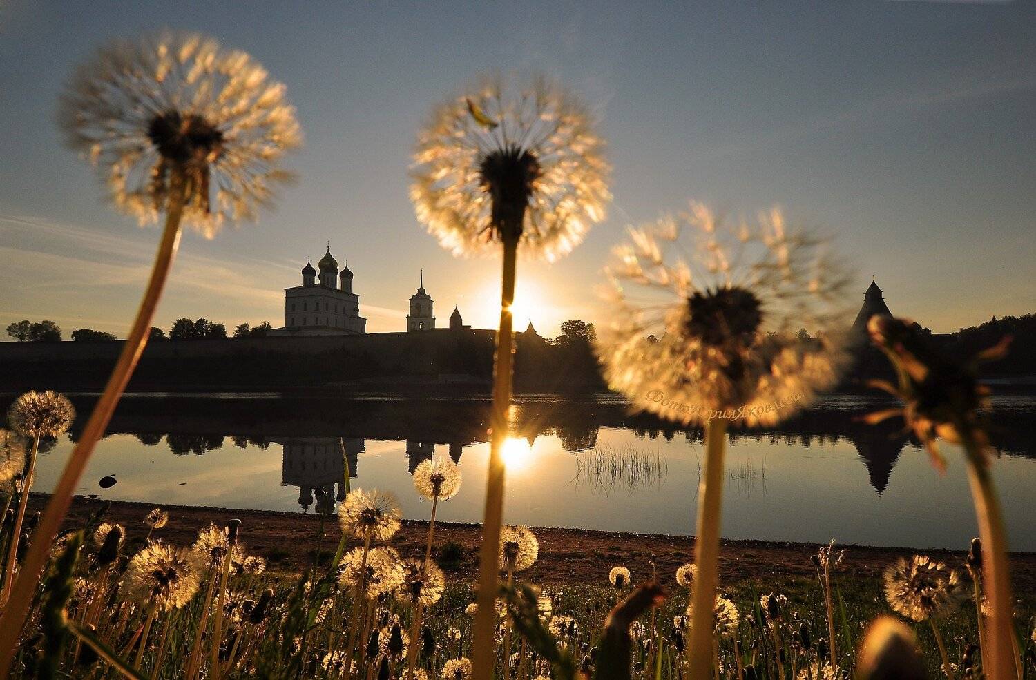 город, псков, собор, пейзаж, рассвет, река, великая, лето., солнце, Юрий Яковлев