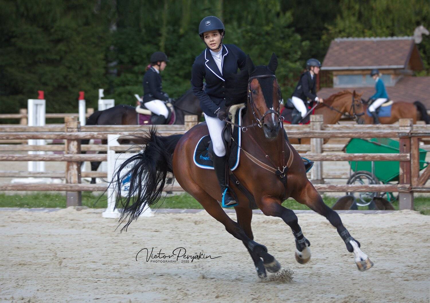 , Виктор Перякин