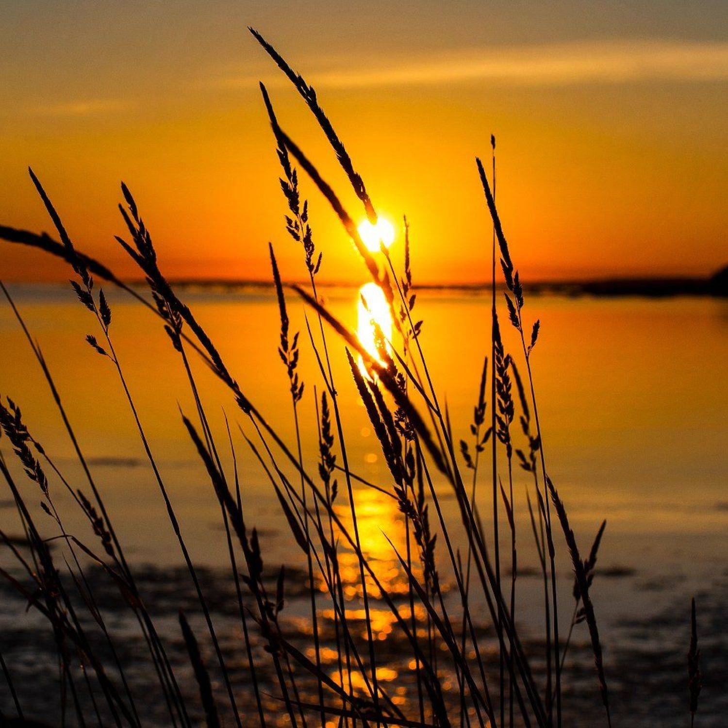 , Алёна Таланова