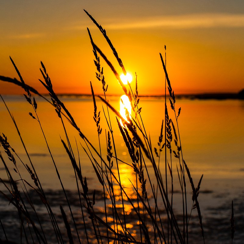 Пожар фото превью