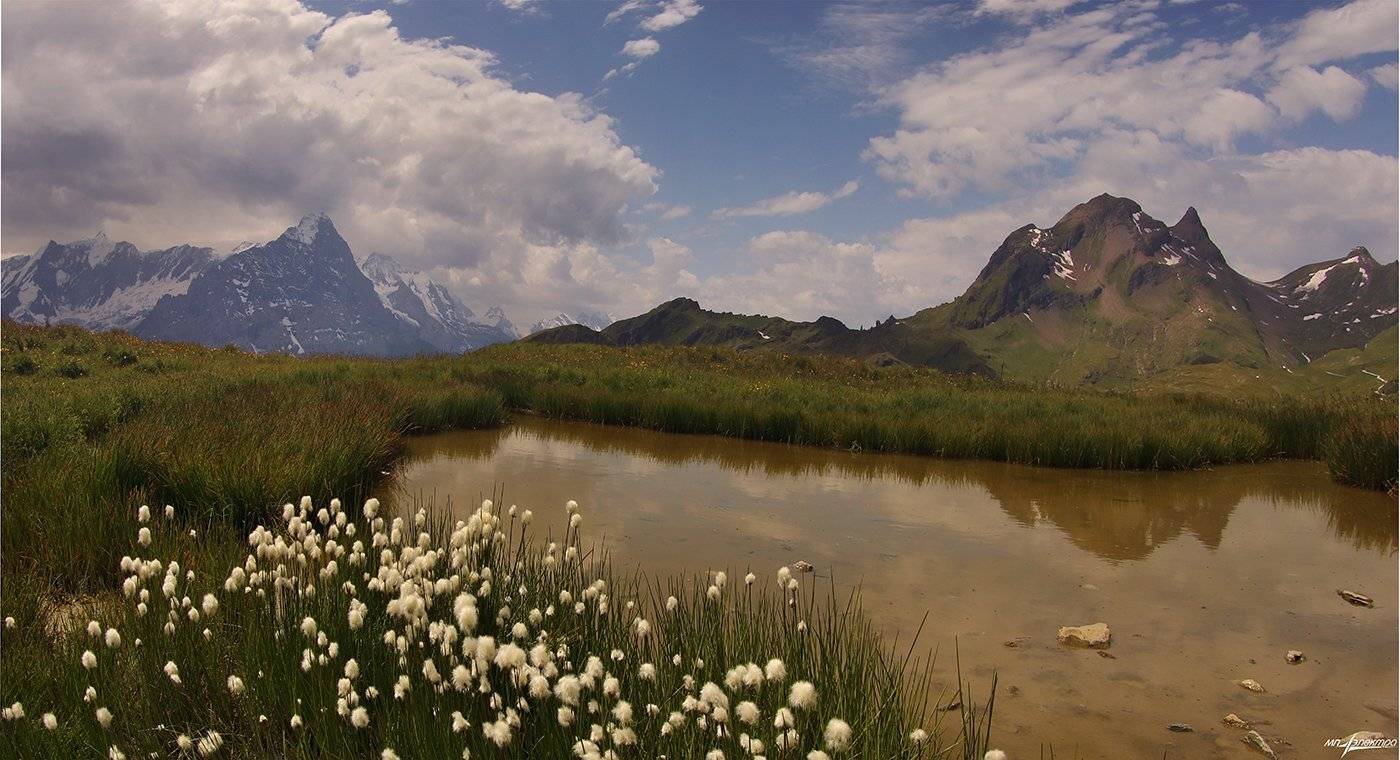 swiss, Матвеев Николай