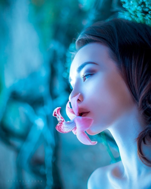 N фото превью