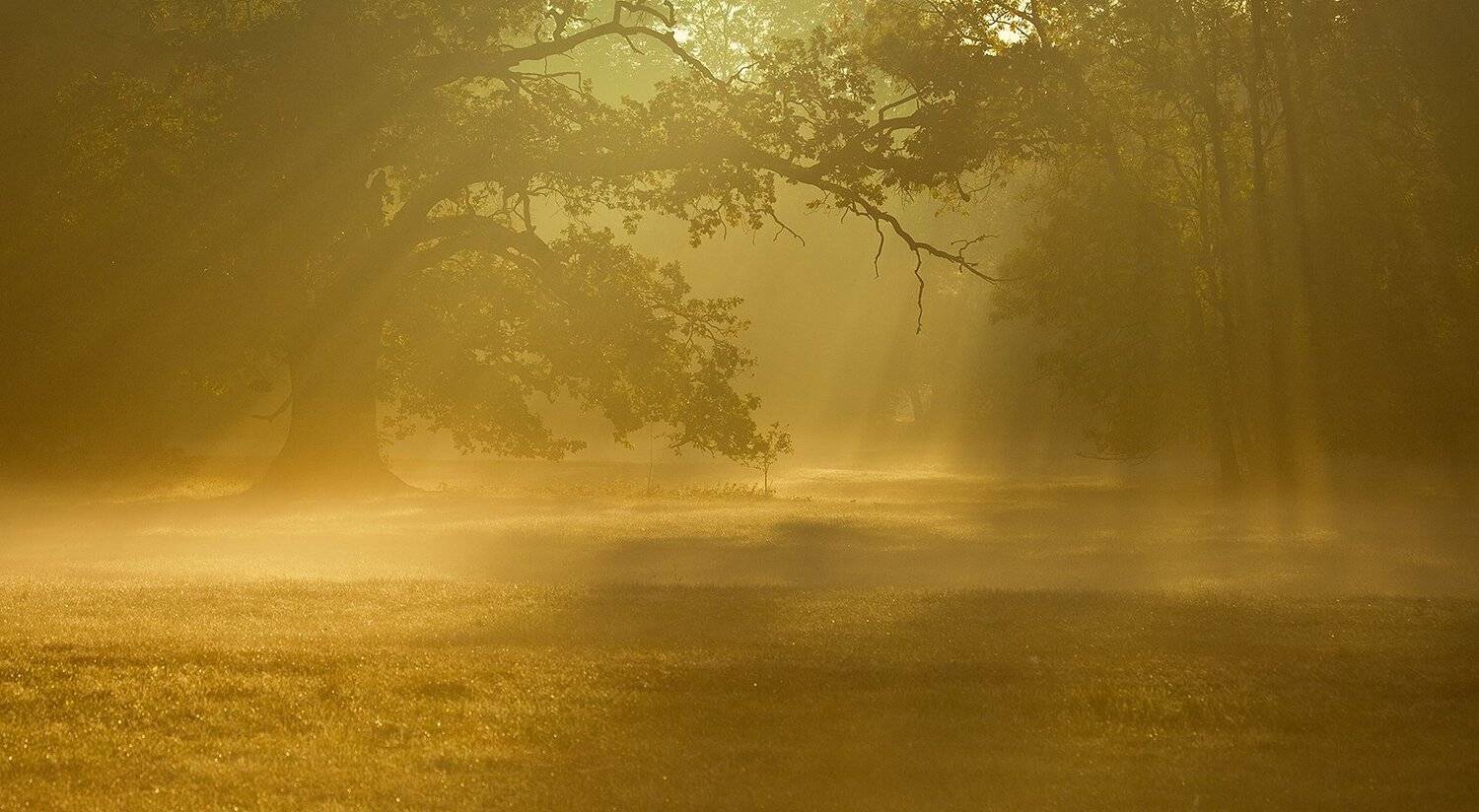 рассвет. Автор: Robert Adamec , Robert Adamec
