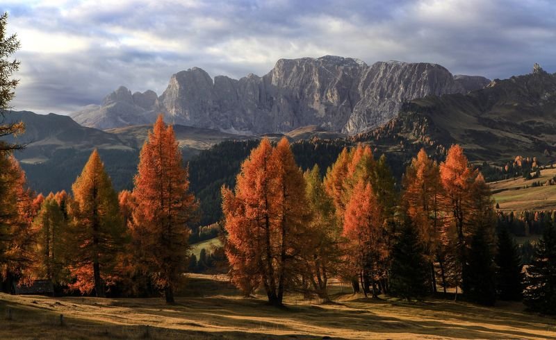 Золото Доломит фото превью